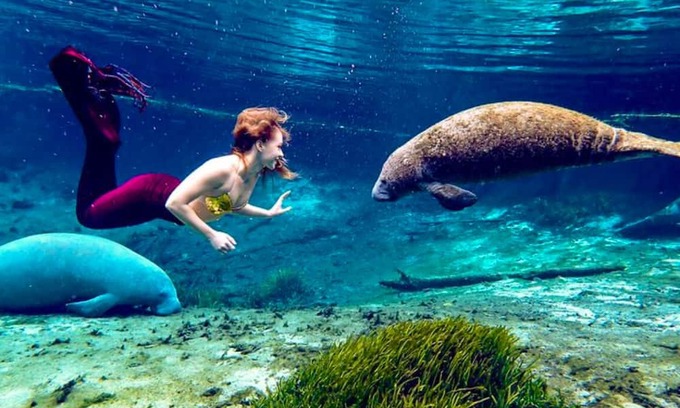 Spring Hill Maison | Weeki Wachee Crystal blue Springs river house with Kayaks