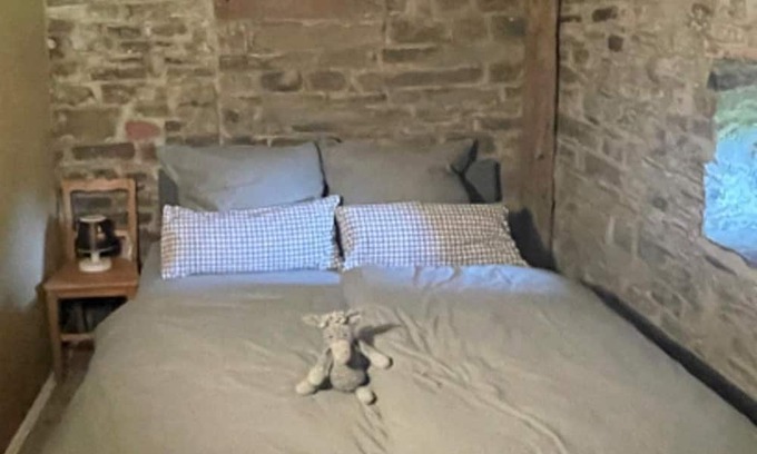 Bongard Appartement | 2-bed vacation apartment shower/WC, incl. donkey hike - Donkey hike Eifel,