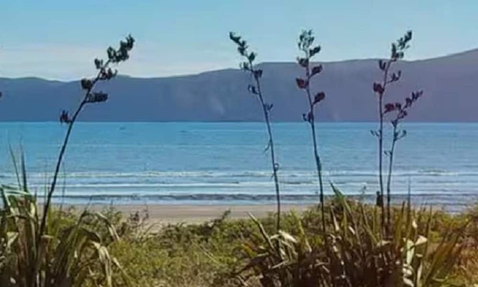 Paraparaumu Appartement | Paraparaumu Beach Hideaway