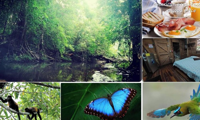 Nicoya Cabine | BluZone Jungle House AC/Wi-Fi