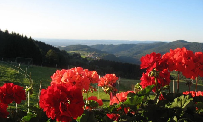 Horben Appartement | Panoramablick, Typ C, 65 qm, 2. Etage, max. 3 Pers.