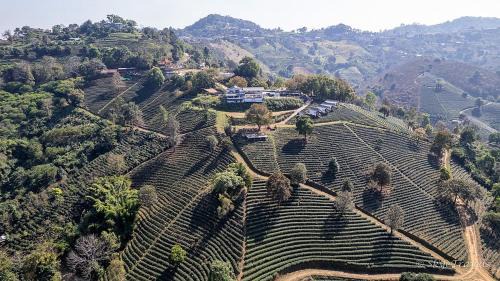 Mae Fa Luang Maison | WATA KHIRI by Wang Put Tan