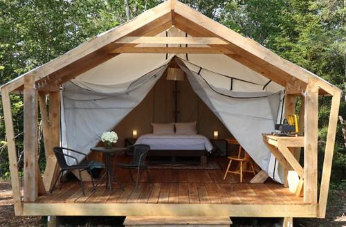 Newport Autre | NATURA Wilderness