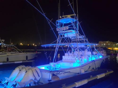 Durrat Al-Arous Location De Bateaux | Sharmaui