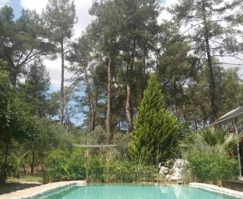 Olympos Cabine | Yeşilyurt 5 rooms