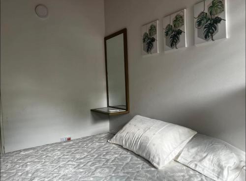 La Dorada Maison | Aluna