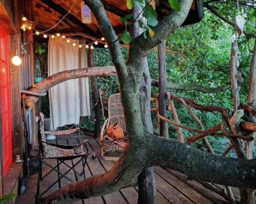 Cluj-Napoca Autre | Forest TreeHouse