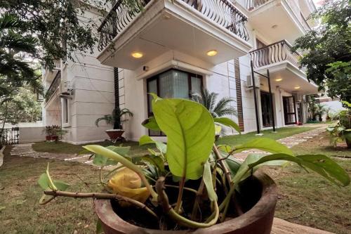 Bengaluru Appartement | Service Apartment - 3BHK Flat with Garden for Family Only