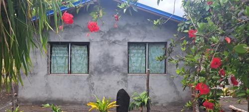 Tanna Island Maison | White Sand Ocean View Bungalow and Tours