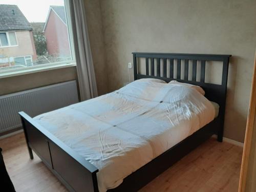 Lemmer Maison | nova vita