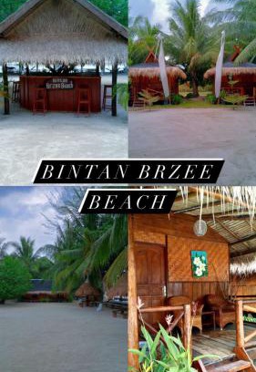 Berakit Cabine | Bintan Brzee Beach in Bintan Island - Bungalow 4