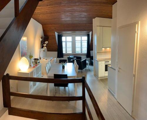 Neuchatel Hôtel | Superbe Duplex Vue Château et Lac
