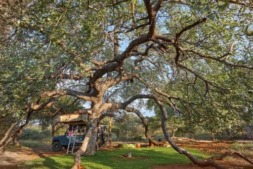 Tsumeb Autre | ZuriCamp - Campsite Halishi