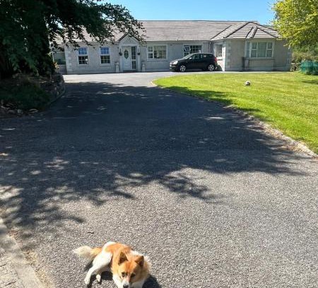 Kilgreaney Maison | graiguenamanagh Homestay