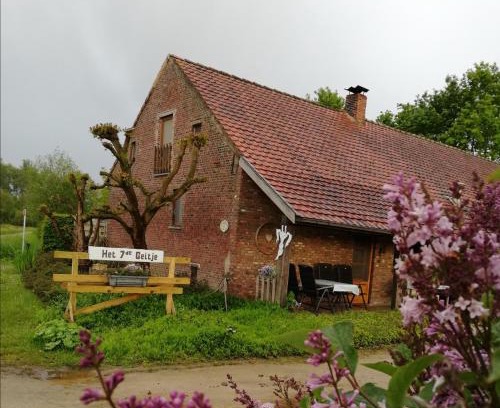 Veerle Maison | Het zevende geitje