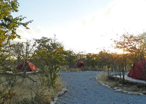 Okaukuejo Autre | Etosha Village Campsite